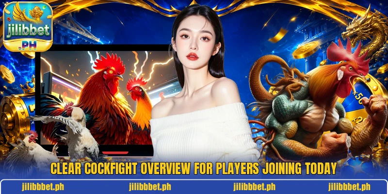 Clear cockfight overview for players joining today